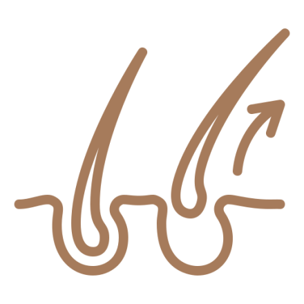 علاج تساقط الشعر